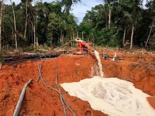 Bild 2 - 1 Zimmer Einfamilienhaus zum Kaufen in Brasilien