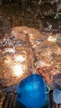 Bild 3 - 1 Zimmer Einfamilienhaus in Brasilien