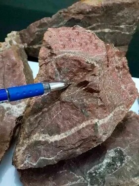 Bild 4 - Einfamilienhaus in Brasilien zum Kaufen