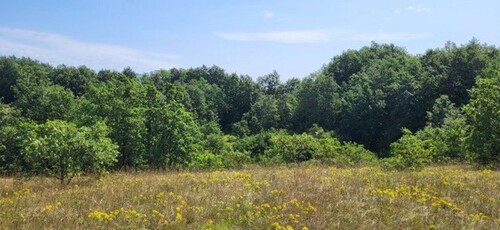 Bild 2 - Grundstück zum Kaufen in Pazin