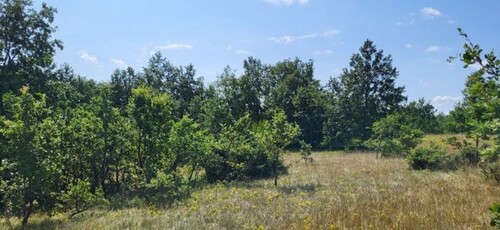 Bild 3 - Grundstück in Pazin