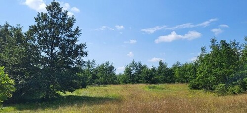 Bild 4 - Grundstück in Pazin zum Kaufen