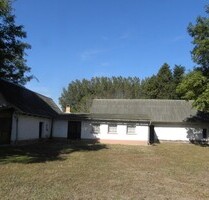 Bauernhaus 96 m2 mit 1 ha Land in Ungarn - Kiskunmajsa