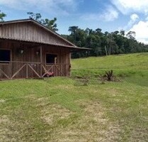 Brasilien 200 Ha Tiefpreis Grundstück bei Presidente Figue - Presidente Figueiredo