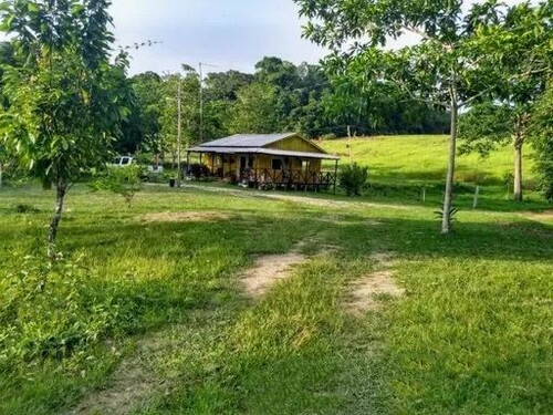 Bild 2 - 3 Zimmer Einfamilienhaus zum Kaufen in Presidente Figueiredo