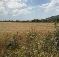 Baugrundstück 9500 qm in der Nähe von Sunny Beach - Burgas
