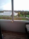 Bild 3 - 5 Zimmer Etagenwohnung in Martin