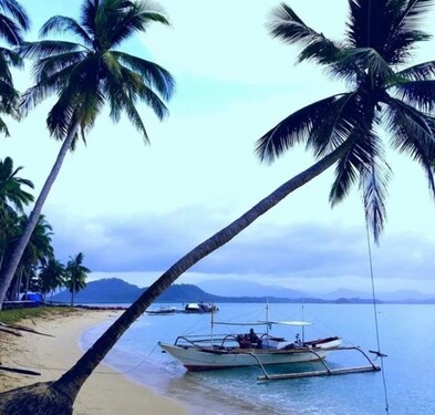 Bild 2 - Grundstück zum Kaufen in Quezon Alfonso