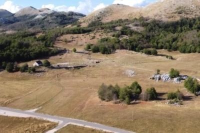 Bild 1 - Bauernhof mit altem Steinhaus Weiden Wald