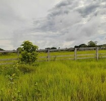 1185 Ha grosse Tiefpreis Rinderfarm bei Belem Brasilien