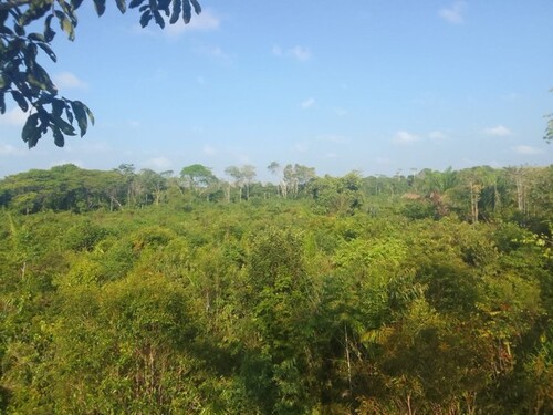 Bild 2 - Grundstück zum Kaufen in Belem