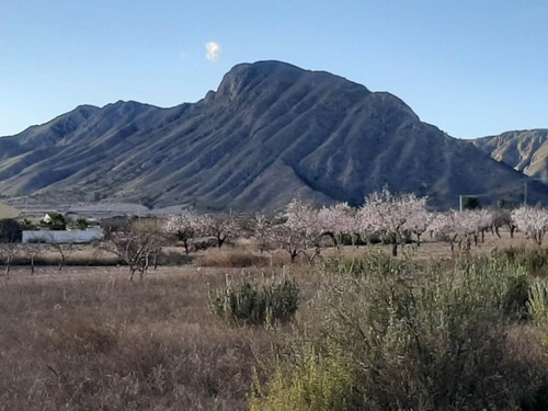 Bild 2 - 10 Zimmer Einfamilienhaus zum Kaufen in Barbarroja/Alicante