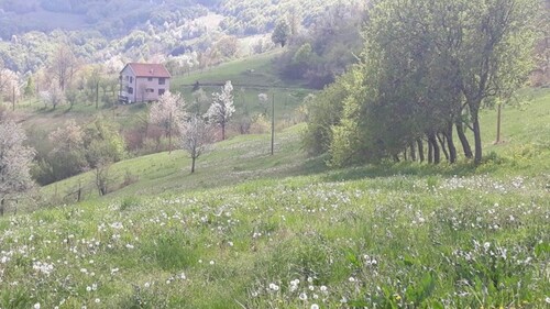Bild 3 - 5 Zimmer Einfamilienhaus in Mojkovac - Région: Mojkovac
