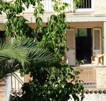 Landhaus mit Olivenhain und Photovoltaik - Petacciato