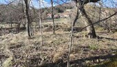 Bild 3 - Grundstück in Jablan