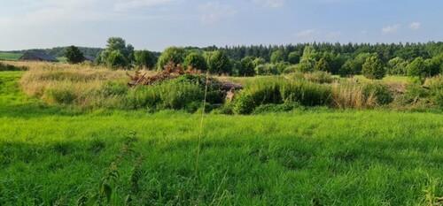 Bild 1 - Ganz nah am Tollensesee - 1.000.000,00 EUR Kaufpreis, ca.  41.300,00 m²