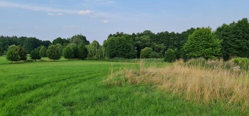 Bild 3 - Grundstück in Penzlin