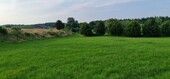 Bild 5 - 