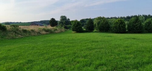 Bild 5 - 