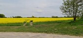 Bild 1 - RIESIGES FREIZEITGRUNDSTÜCK - 121.280,00 EUR Kaufpreis, ca.  9.607,00 m²