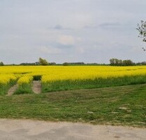 RIESIGES FREIZEITGRUNDSTÜCK - 121.280,00 EUR Kaufpreis, ca.  9.607,00 m² in Walkendorf-Repnitz (PLZ: 17129)
