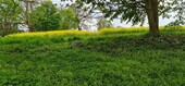 Bild 5 - 