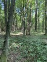 Bild 2 - Grundstück zum Kaufen in Oriovac
