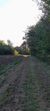 Bild 4 - Grundstück in Oriovac zum Kaufen