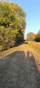 Bild 5 - 