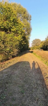 Bild 5 - 