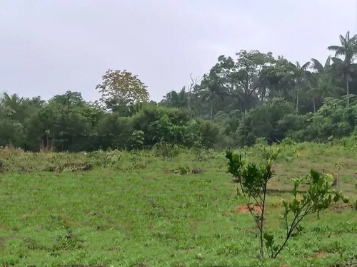 Bild 2 - Grundstück zum Kaufen in Cantá