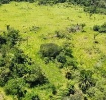 Tiefpreis Grundstück 1000 Ha mit Rohstoffen Brasilien - Silves