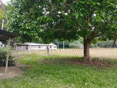 Bild 4 - Grundstück in Manaus zum Kaufen