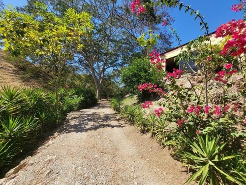 Bild 3 - 3 Zimmer Einfamilienhaus in Jicaral