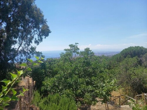 Bild 2 - Grundstück zum Kaufen in San Gregorio (CT)