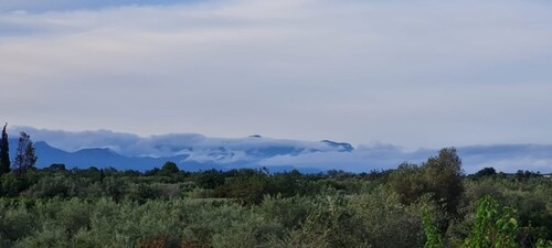 Bild 1 - Finca Grundstück für 2 Häuser Costa Azahar Pferdehaltung
