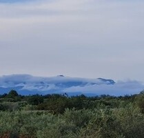 Finca Grundstück für 2 Häuser Costa Azahar Pferdehaltung - Benicarlo