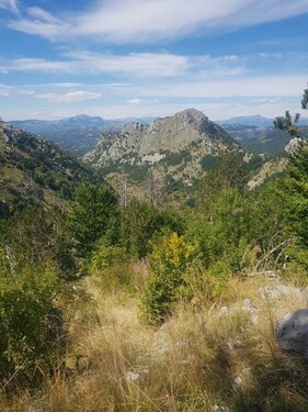 Bild 4 - Grundstück in Podgorica zum Kaufen