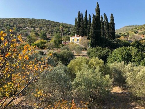 Bild 2 - 9 Zimmer Einfamilienhaus zum Kaufen in Chora