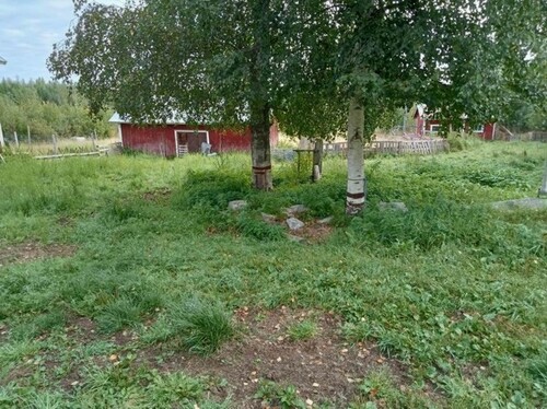 Bild 1 - Bauernhof mit 4 Pferdeboxen in Finnland