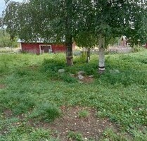 Bauernhof mit 4 Pferdeboxen in Finnland - Jamali/Finnland Bauernhof mit 4 Pferdeboxen in Finnland - Jamali/Finnland
