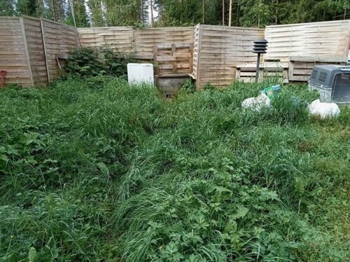 Bild 2 - 4 Zimmer Bauernhaus, Landhaus zum Kaufen in Jamali/Finnland
