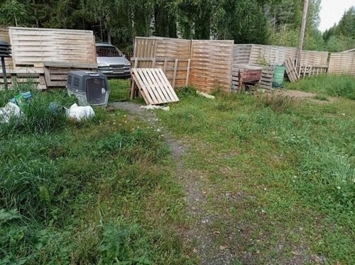 Bild 3 - 4 Zimmer Bauernhaus, Landhaus in Jamali/Finnland