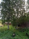 Bild 4 - Bauernhaus, Landhaus mit 75,00 m&sup2; in Jamali/Finnland zum Kaufen