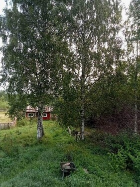 Bild 4 - Bauernhaus, Landhaus mit 75,00 m&sup2; in Jamali/Finnland zum Kaufen