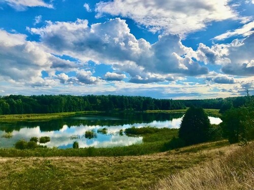 Bild 4 - Einfamilienhaus mit 770,00 m² in Kruklanki zum Kaufen