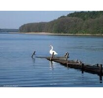 Freizeitgrundstück - 100.000,00 EUR Kaufpreis, ca.  5.000,00 m² in Kragi (PLZ: 78449)