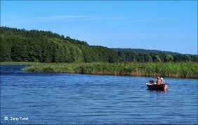 Bild 2 - Grundstück zum Kaufen in Kragi