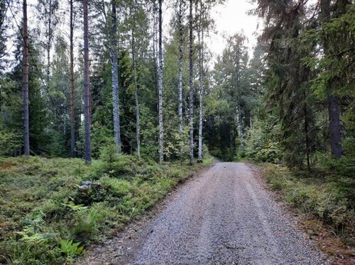 Bild 5 - 