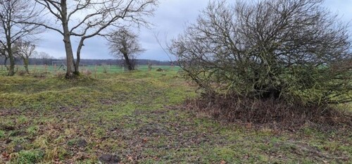 Bild 1 - Ca 51400m2 Acker und Weideland nahe Rostock